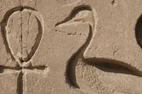146015